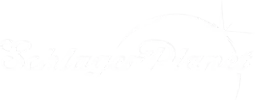logo 24